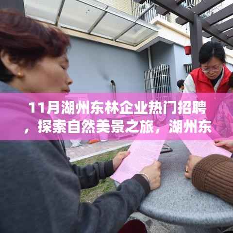 湖州东林企业热门招聘月,探索自然美景,寻找内心宁静之旅