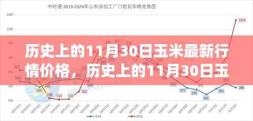 公司概况 第497页