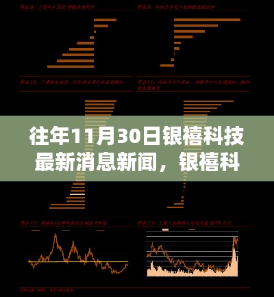 银禧科技历年11月30日最新消息新闻深度探析与观点阐述