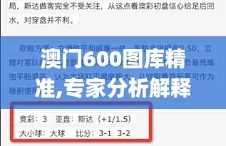 澳门600图库精准,专家分析解释定义_XR97.789-7