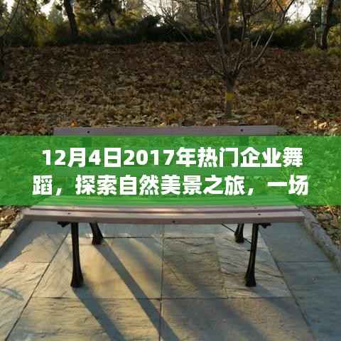 企业舞蹈与自然美景之旅,探寻内心的平和宁静之旅