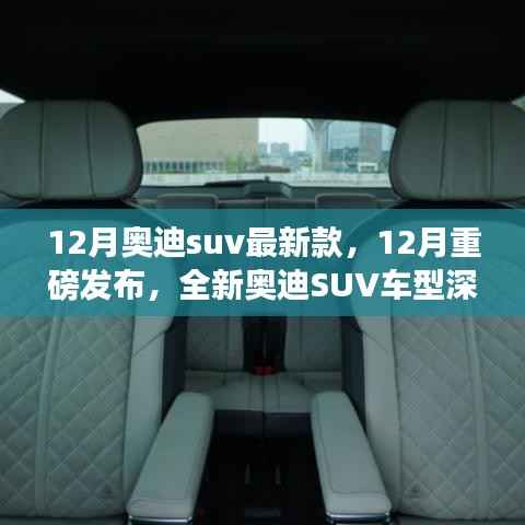 重磅发布！全新奥迪SUV车型深度评测与介绍，12月最新款奥迪SUV一览无余