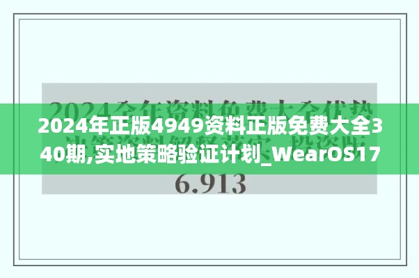 2024年正版4949资料正版免费大全340期,实地策略验证计划_WearOS17.790-8
