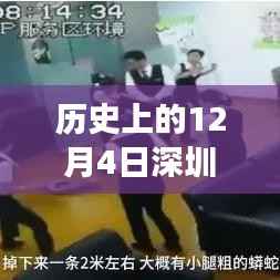 深圳逃犯归途,温馨故事在12月4日上演