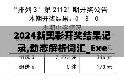 2024新奥彩开奖结果记录,动态解析词汇_Executive4.449