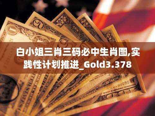白小姐三肖三码必中生肖图,实践性计划推进_Gold3.378