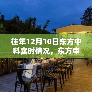 往年12月10日东方中科的秘境之旅,心灵港湾的探寻