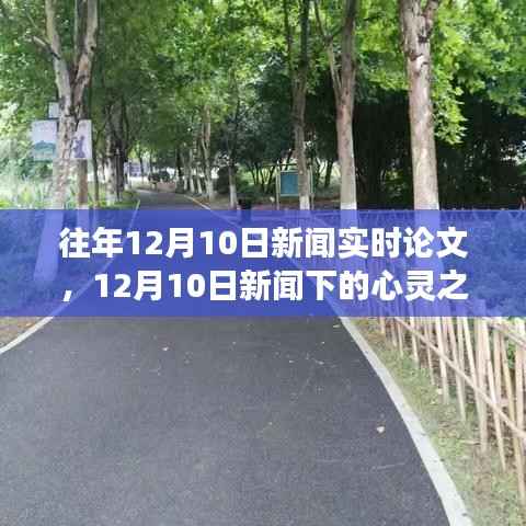 探索自然美景的心灵之旅,12月10日新闻下的艺术与生活