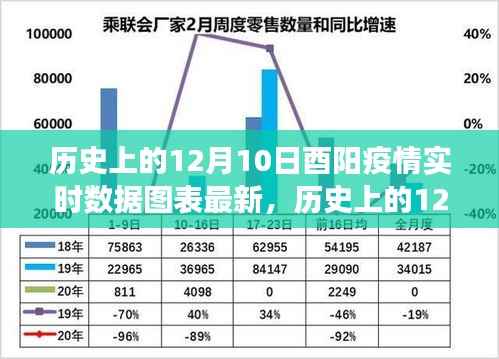 历史上的12月10日酉阳疫情数据深度解析,实时图表分析与演变窥探