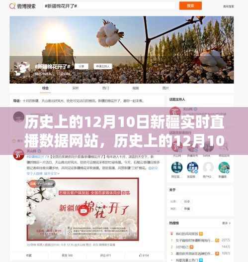 历史上的12月10日新疆实时直播数据网站,价值与挑战的并存时刻