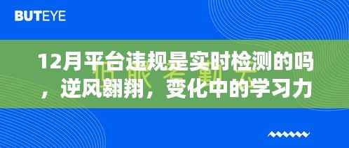 关于十二月平台违规检测的深度洞察,实时检测与变化中的学习力量探讨