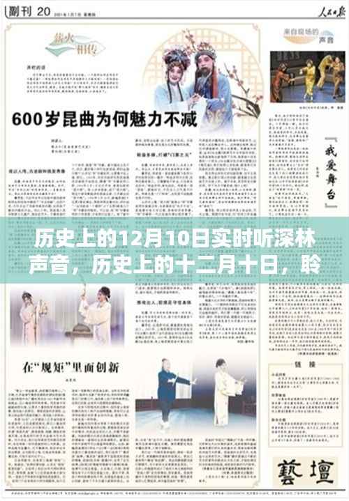 探寻时光印记,历史上的十二月十日深林之声回顾与聆听