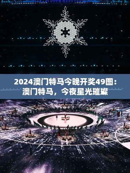 2024澳门特马今晚开奖49图:澳门特马,今夜星光璀璨