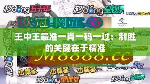 王中王最准一肖一码一过:制胜的关键在于精准