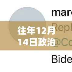 往年12月14日政治实时热搜深度解析与评测指南