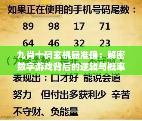 九肖十码玄机最准确:解密数字游戏背后的逻辑与概率学