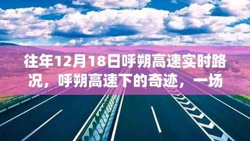 公司概况 第302页