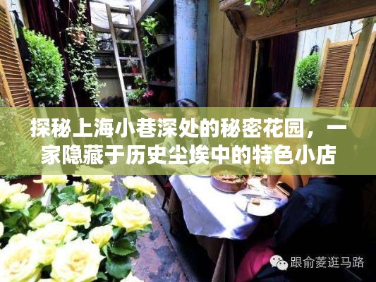 探秘上海隐秘小巷,历史尘埃中的秘密花园与特色小店之旅
