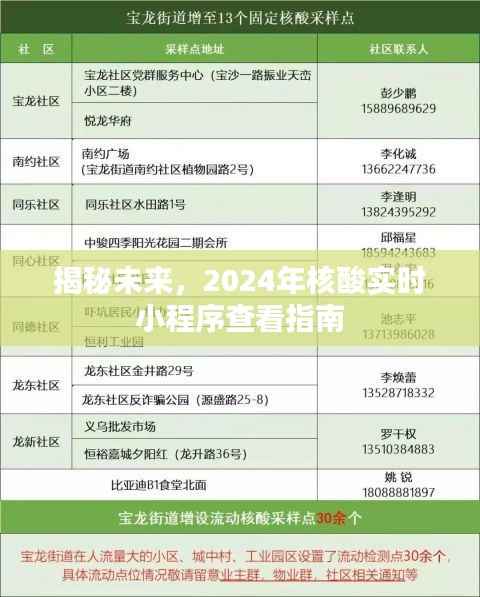 揭秘未来,2024年核酸实时小程序使用指南