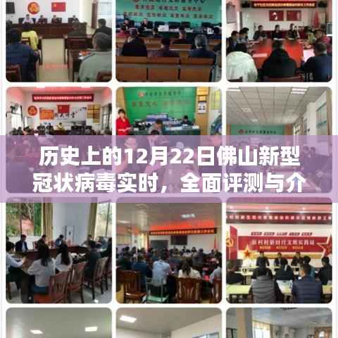 行将就木 第3页