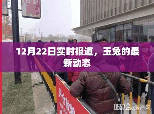 玉兔最新动态,12月22日实时更新报道