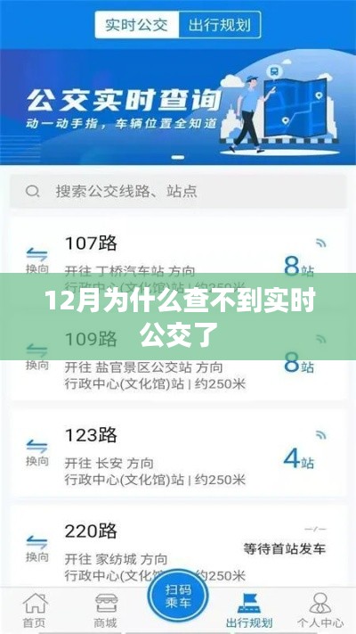 实时公交查询服务在12月为何无法正常使用?