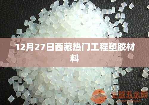 西藏热门工程塑胶材料，行业动态及市场趋势分析（12月27日）