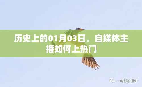 自媒体主播如何把握热门机遇，聚焦历史时刻的机遇与挑战