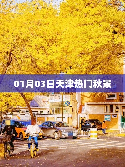 天津热门秋景盘点(日期更新)