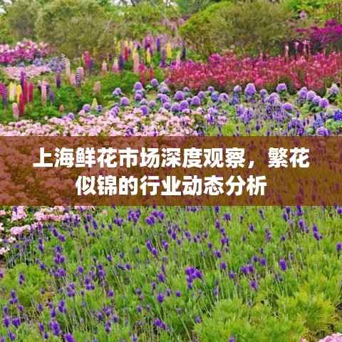 上海鲜花市场深度观察,繁花似锦的行业动态分析