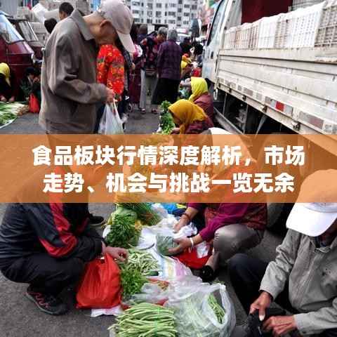 食品板块行情深度解析，市场走势、机会与挑战一览无余