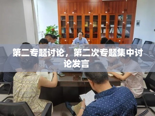 第二专题讨论,第二次专题集中讨论发言