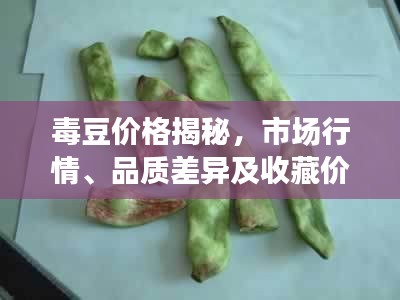 毒豆价格揭秘,市场行情、品质差异及收藏价值一网打尽!