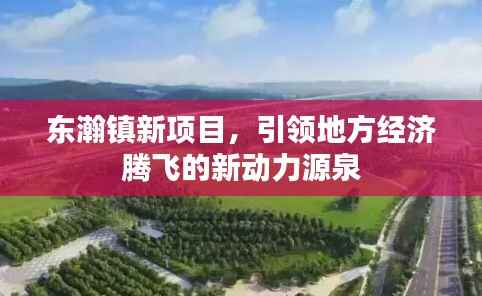 东瀚镇新项目,引领地方经济腾飞的新动力源泉