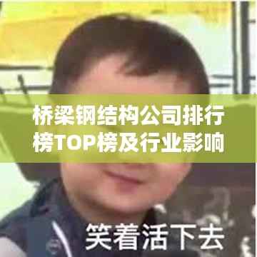 桥梁钢结构公司排行榜TOP榜及行业影响力解析