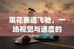 菜花赛道飞驰,一场视觉与速度的盛宴