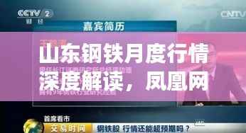 山东钢铁月度行情深度解读,凤凰网独家视角