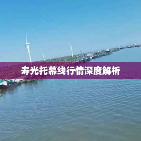 寿光托幕线行情深度解析