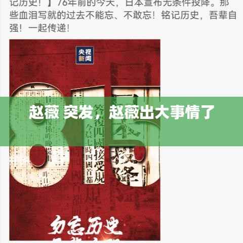 赵薇 突发,赵薇出大事情了