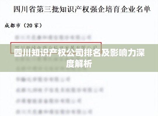 四川知识产权公司排名及影响力深度解析