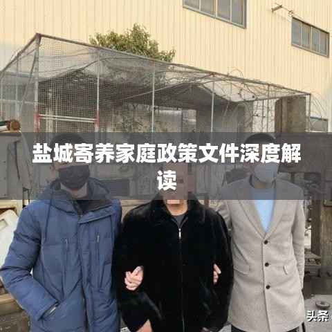 盐城寄养家庭政策文件深度解读