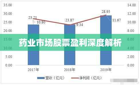 药业市场股票盈利深度解析