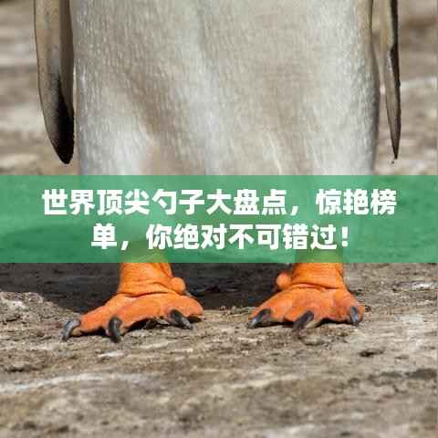 世界顶尖勺子大盘点,惊艳榜单,你绝对不可错过!