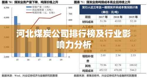 河北煤炭公司排行榜及行业影响力分析