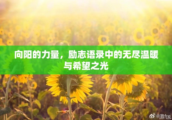 向阳的力量,励志语录中的无尽温暖与希望之光