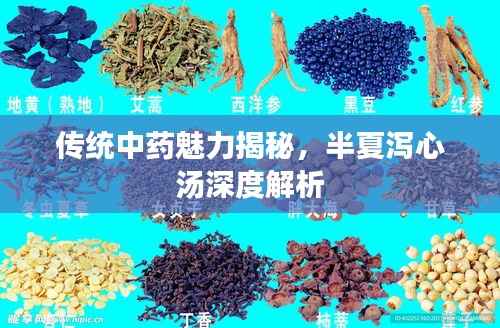 传统中药魅力揭秘,半夏泻心汤深度解析