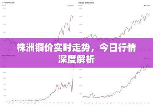 株洲铜价实时走势，今日行情深度解析