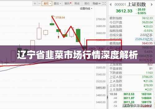 辽宁省韭菜市场行情深度解析