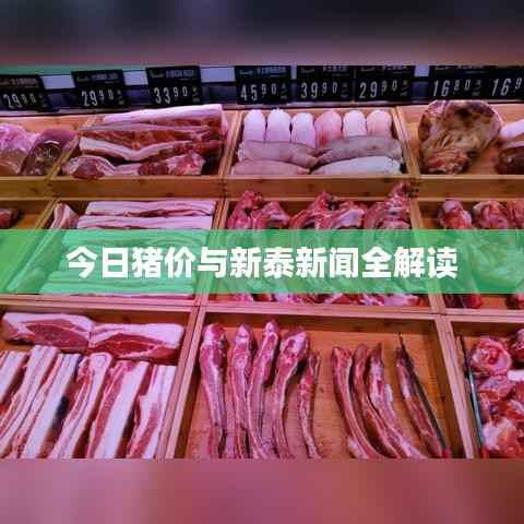 眉清目秀 第2页