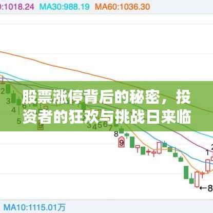 股票涨停背后的秘密,投资者的狂欢与挑战日来临